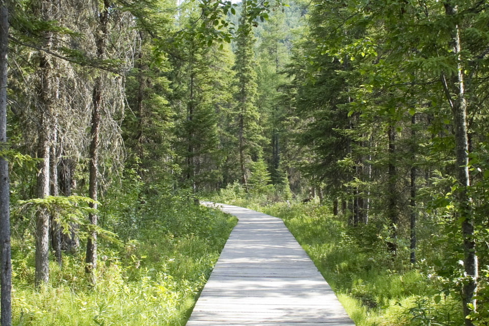 Liard River Hot Springs Provincial Park