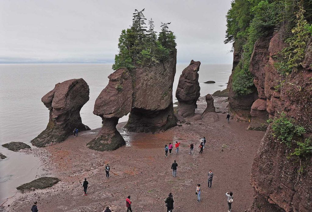 Hopewell rocks at low tide