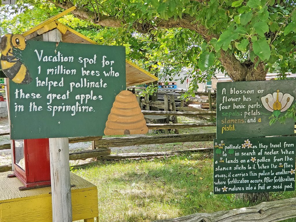 Signage about Bees