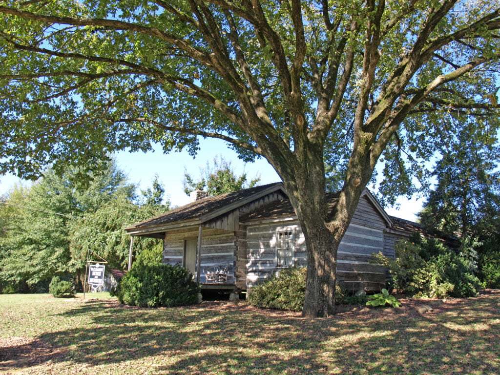 A log cabin with large tree outside the W.C. Handy Museum