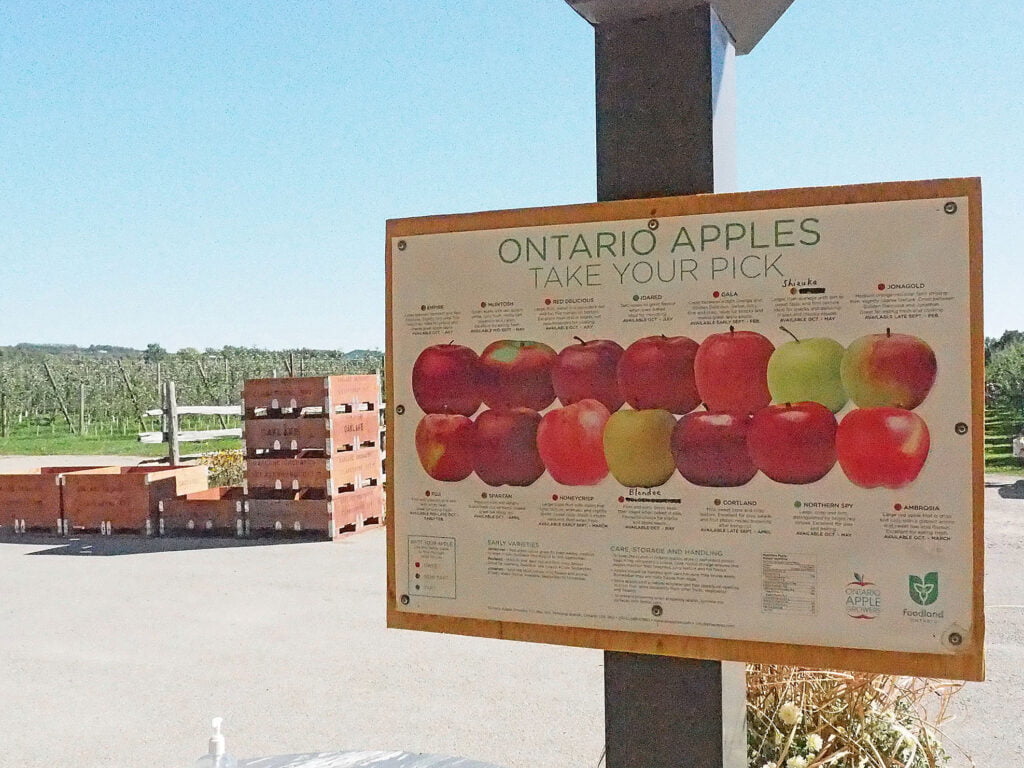 Ontario apples sign from one of Ontario’s food trail.