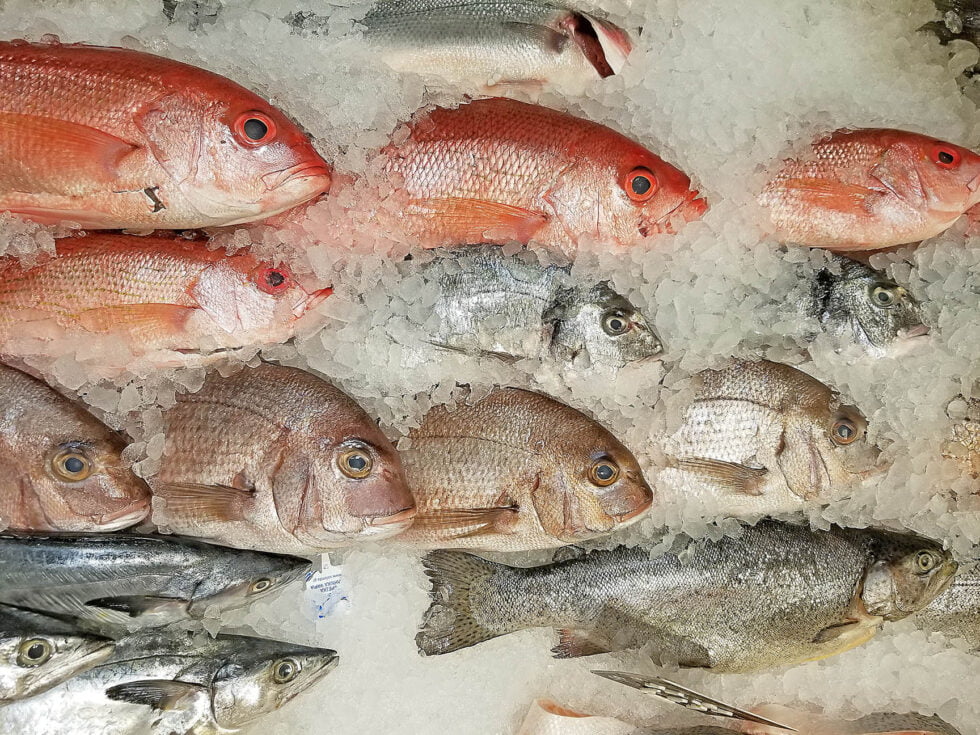 Cooking Fish… in the Dishwasher! Explorer RV Club