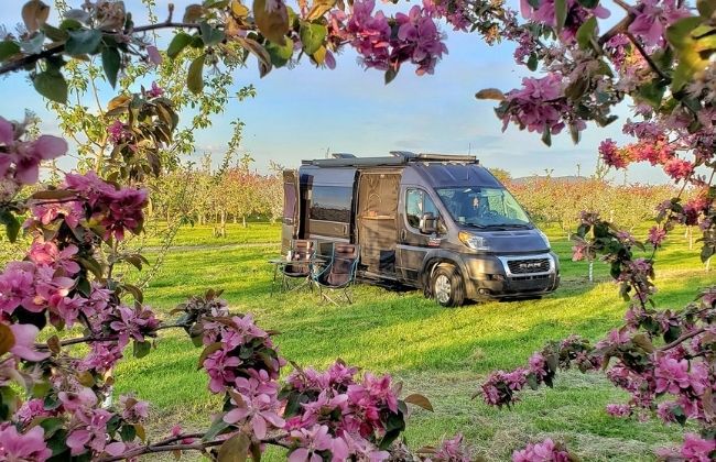 RV parked in an orchard surrounded by flowers.
