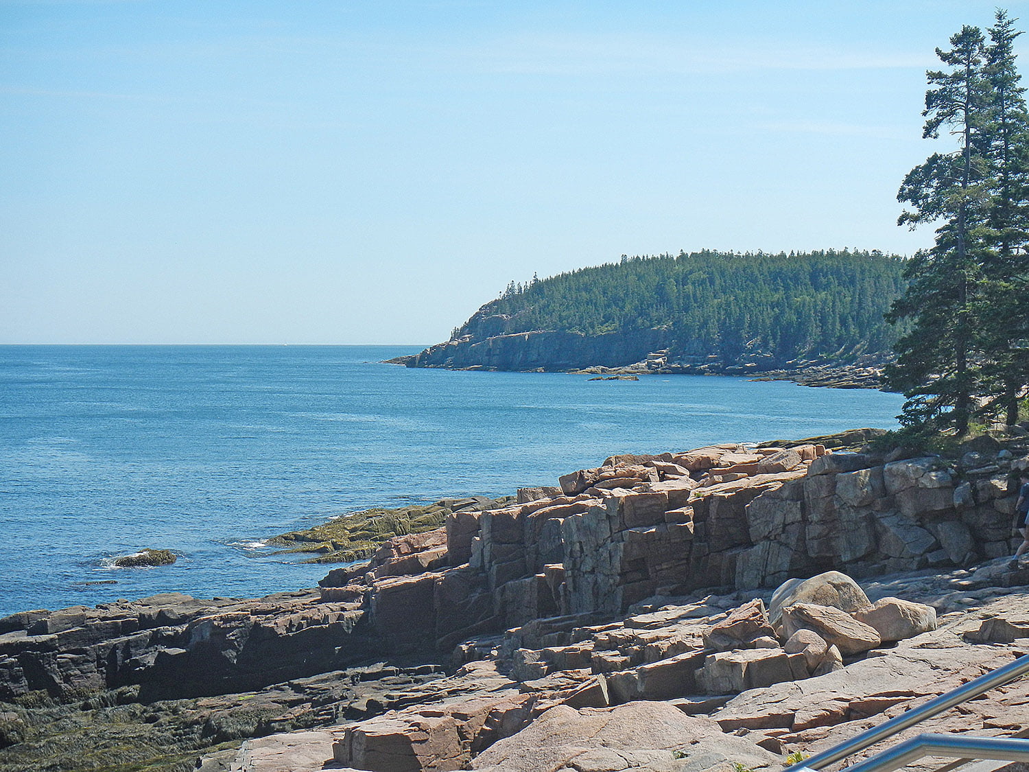 A scenic view of a popular Maine landmark, Acadia National Park. A scenic vista with a taller, pointed coniferous tree on the right. 