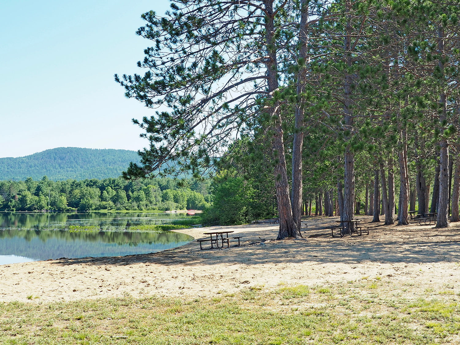 A landscape shot of Samuel de Champlain Provincial Park in the Ottawa Valley. Trees providing shade over a picnic table beside a lake.