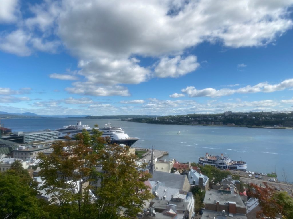 A cruise ship docked in a harbour on a sunny day.