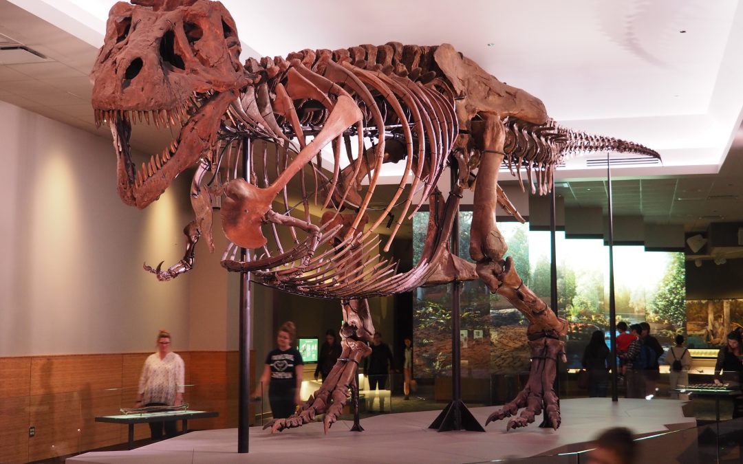 Tracking the Dinos and Digging for Fossils in Museums and Parks Across North America