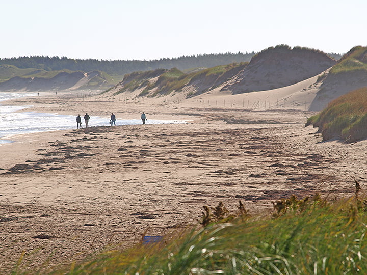 A group of four people walking along the sandy beach in between rolling sand dunes and the waters edge at PEI National Park.