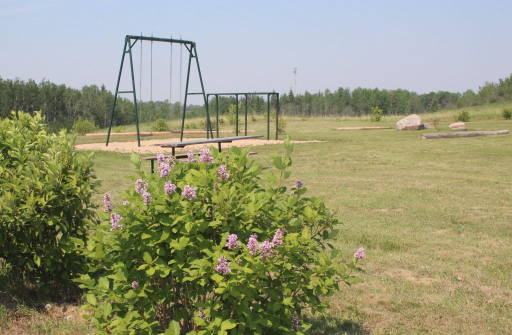 A playground with swings and a bench