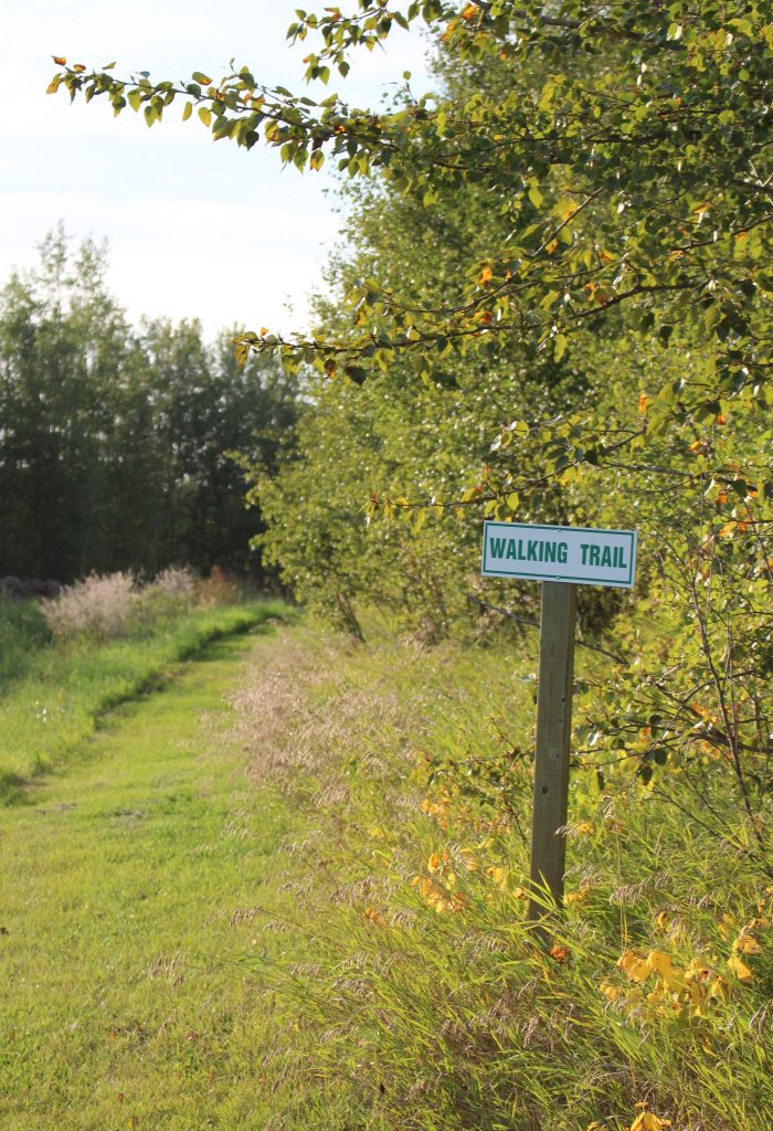 A sign on a post in a grassy area.