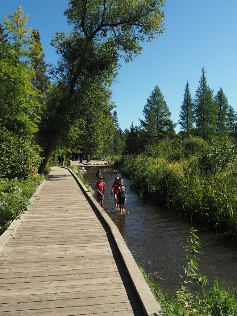 Children are chatting and walking in a shallow stream, their feet immersed in the cool water. Beside them is a board rock, providing a stable surface to step on. On the other side of the stream, tall grass sways in the gentle breeze, adding to the scene’s natural beauty. The image captures the joy and camaraderie of the children as they explore and interact with the serene environment of the stream.