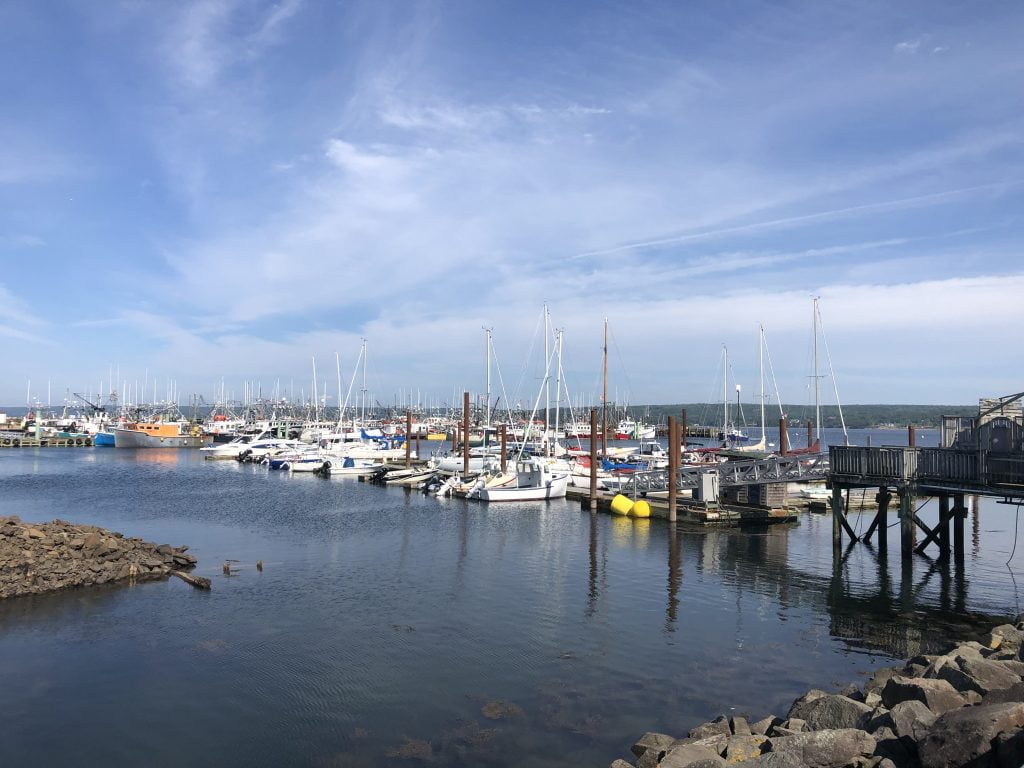 Scenic view of Annapolis Valley, Digby, showcasing shallow waters with boats docked in the marina.