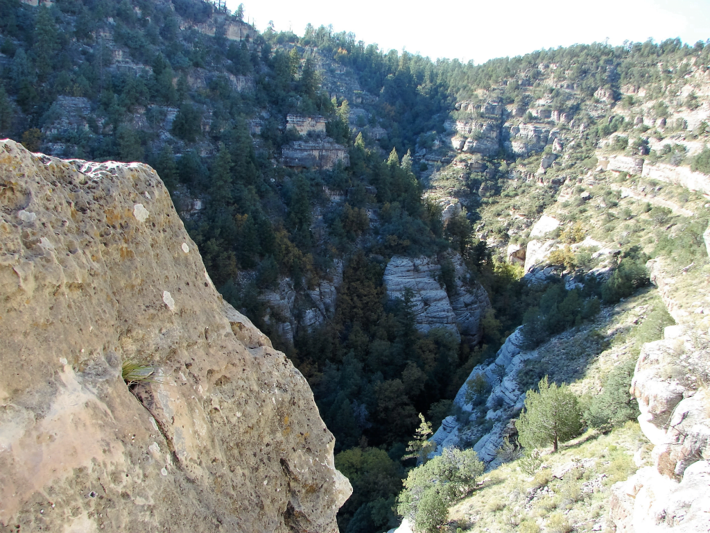 A breathtaking view of Walnut Canyon with its rugged cliffs, lush greenery, and ancient cliff dwellings nestled into the canyon walls