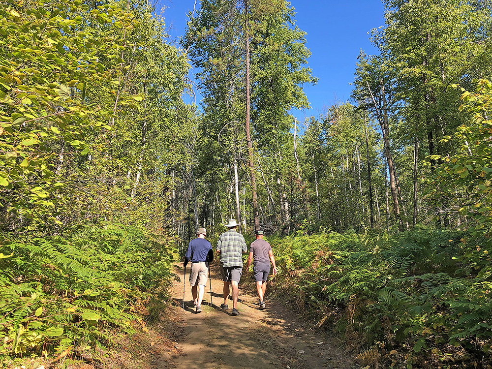 Three people hiking through the woods.