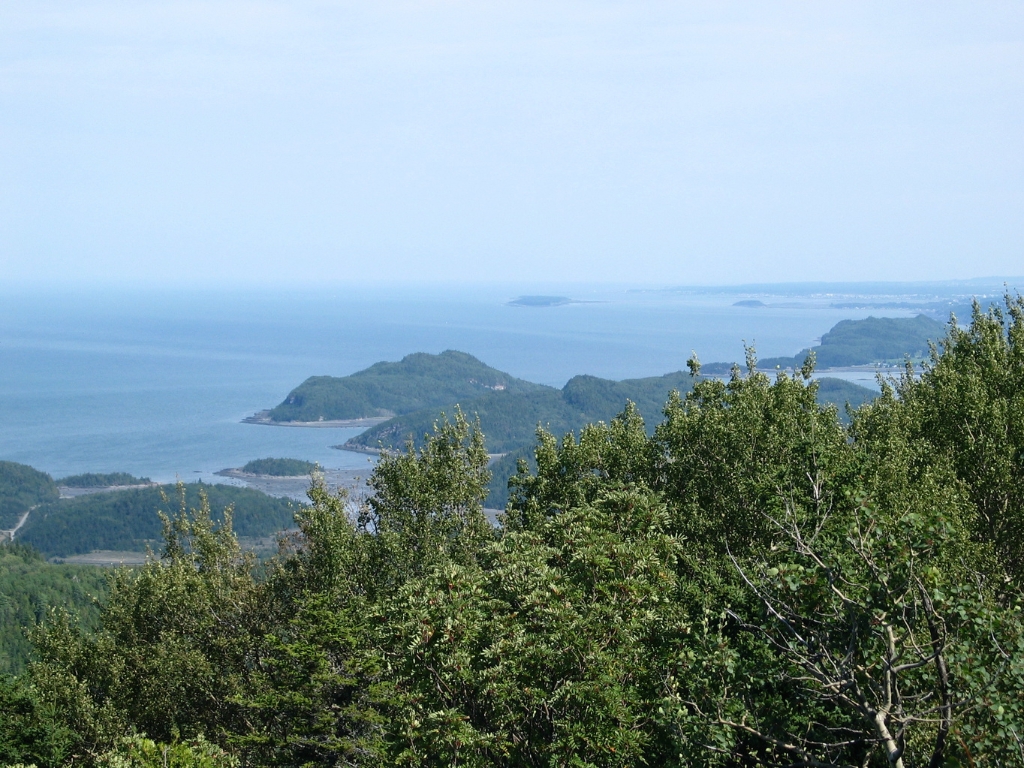 View of the coast and forest at C Parc National du Bisc.