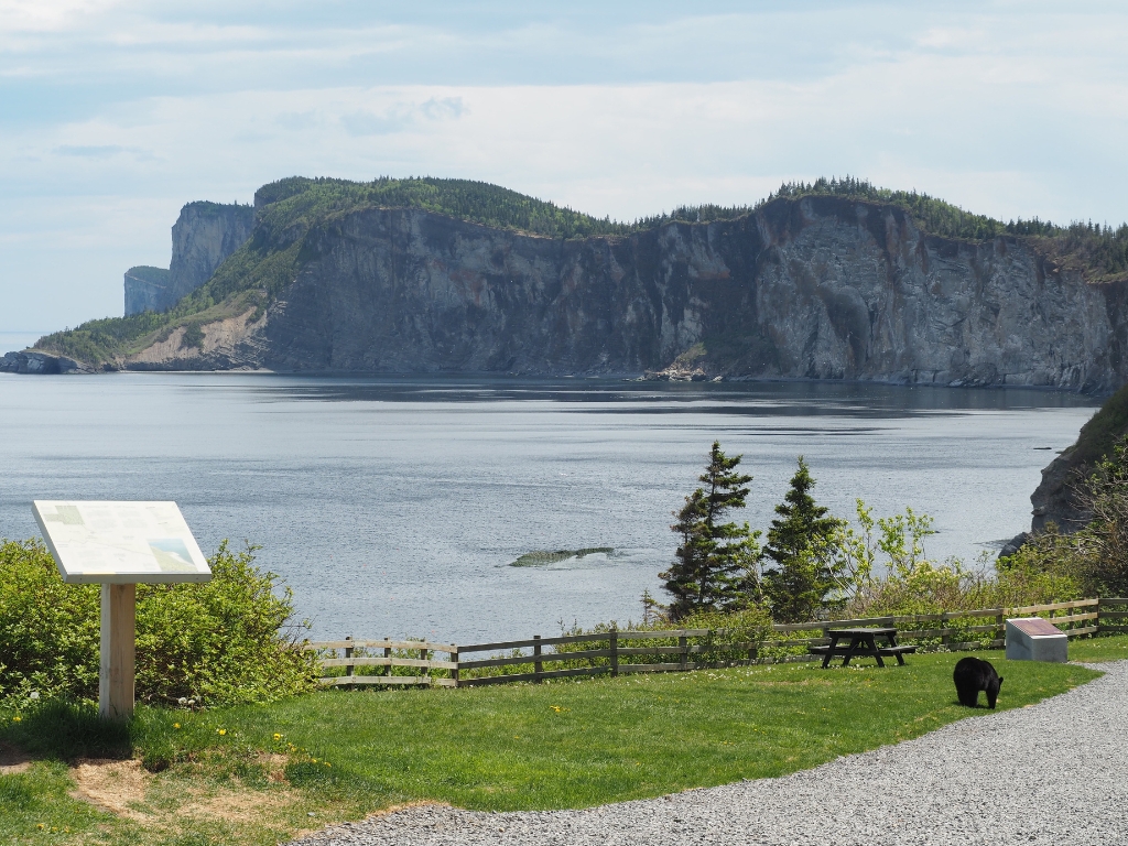 View of a beautiful natural harbour, created where the north shore juts into the Gulf of St. Lawrence and the southern shoreline faces the moderate waters of Gaspé Bay.