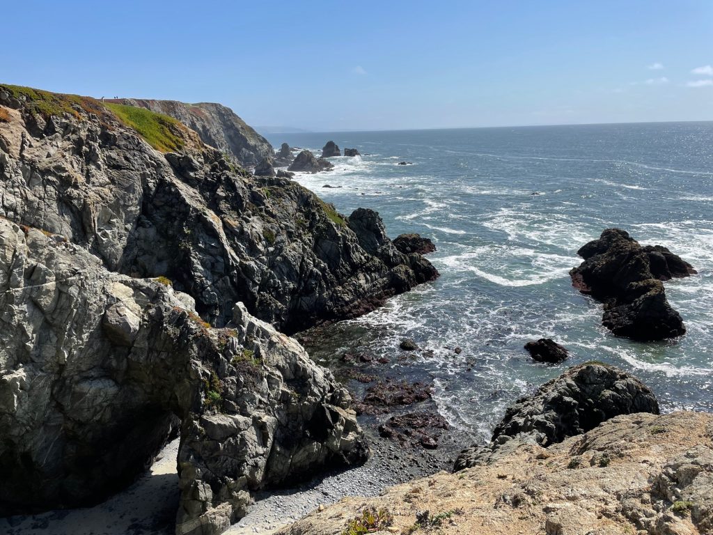 Bodega Head Ocean view