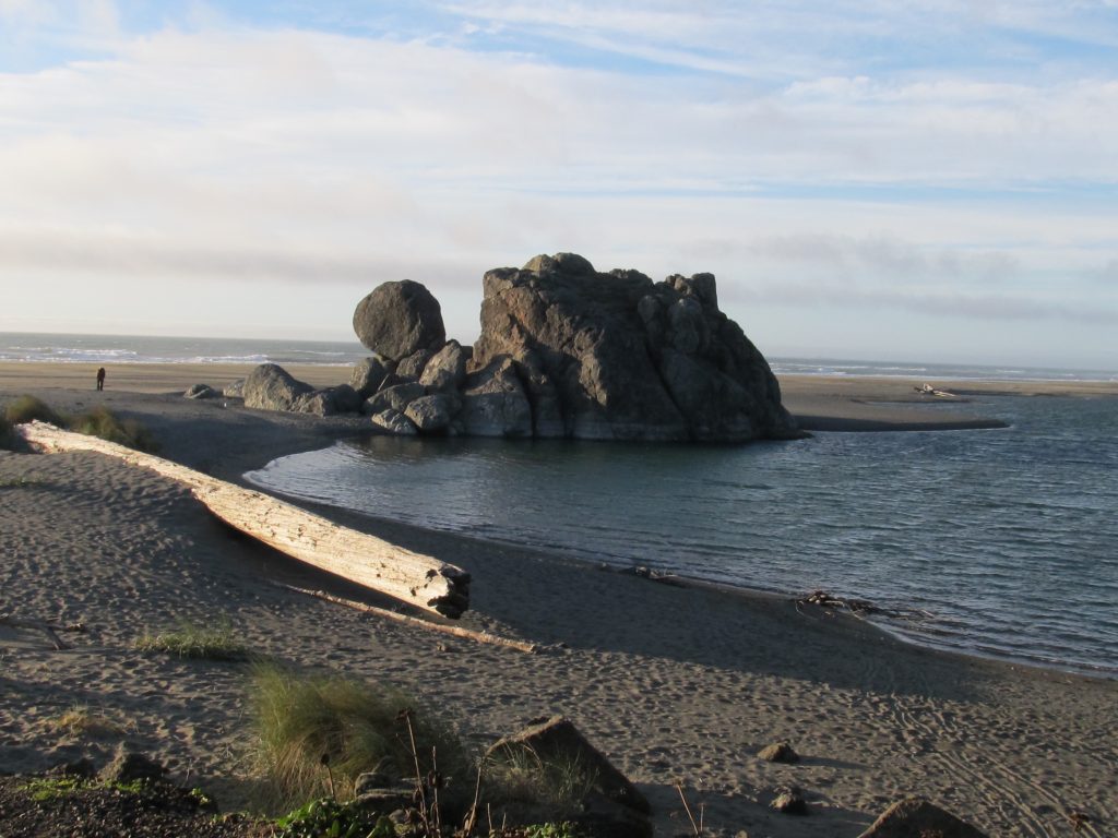 Turtle Rock at Gold Beach