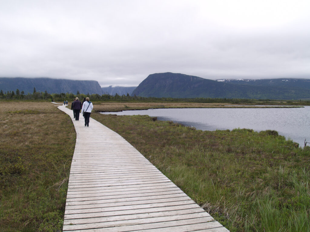 A group of people walking on a wooden boardwalk through a grassy wetland area with mountains and cloudy skies in the background.