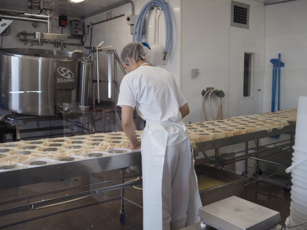 A worker in a white uniform and hairnet turns and brushes round wheels of cheese on a stainless-steel table inside a small cheese factory.
