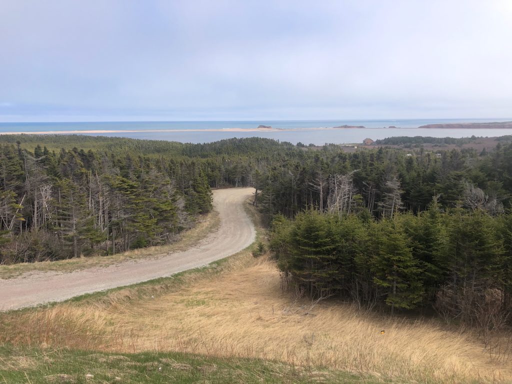 A winding dirt road curves through a forested area with a view of the ocean and small islands in the distance on Îles de la Madeleine.