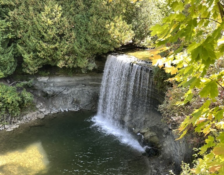 Waterfall cascades over a rocky ledge into a clear pool, surrounded by lush green foliage and autumn leaves.