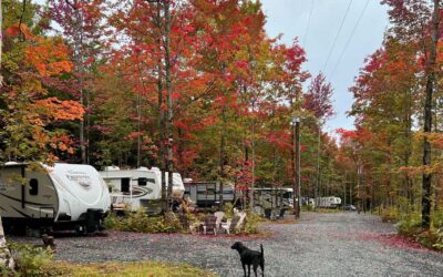 Chasing the Fall Colours