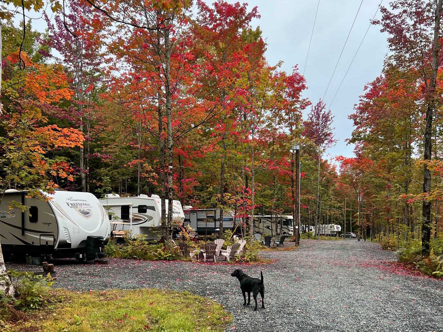 Chasing the Fall Colours